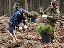 В память о героях: в преддверии празднования Дня Победы в Великой Отечественной войне в Самаре заложили сиреневую аллею