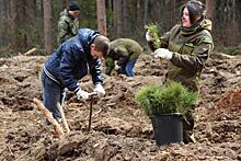 В память о героях: в преддверии празднования Дня Победы в Великой Отечественной войне в Самаре заложили сиреневую аллею