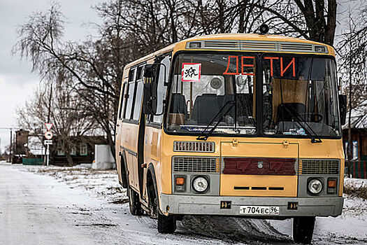 На Украине проверяют бюджетников, закупивших школьные автобусы в РФ в обход санкций