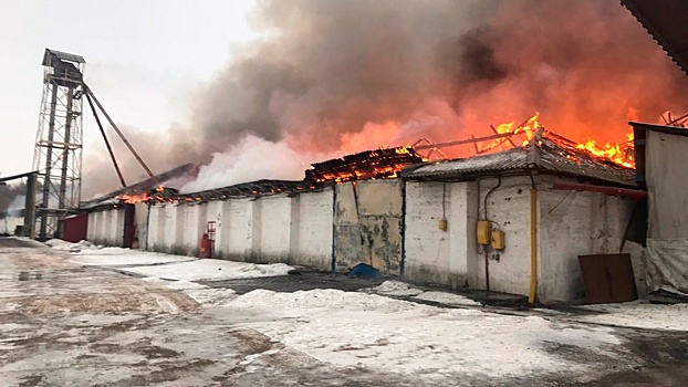 Склад с семенами подсолнечника загорелся в Белгородской области