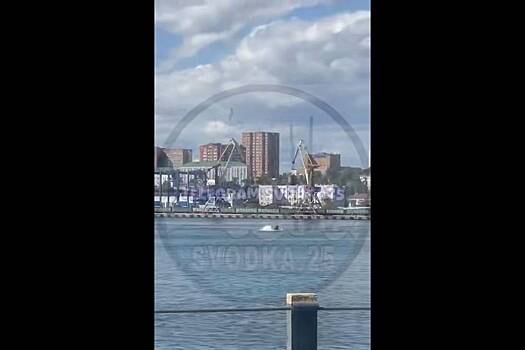 Кит сделал прыжок в самом центре Владивостока и попал на видео