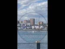 Кит сделал прыжок в самом центре Владивостока и попал на видео