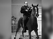 Умерла лошадь Пирожок из "Клана Сопрано"