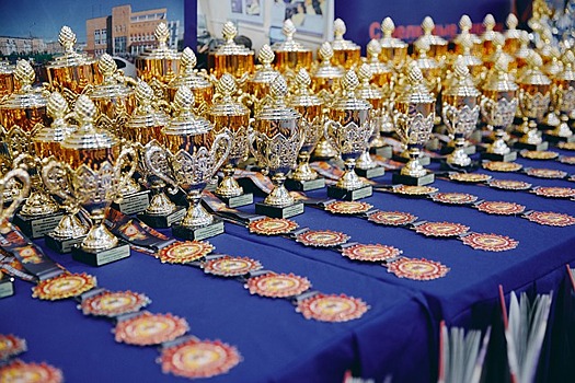 Школьники из Хорошево-Мневников завоевали золото чемпионата профессионалов