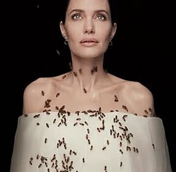 Анджелина Джоли снялась с роем пчел