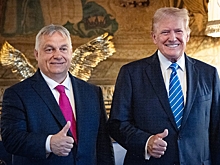 Трамп назвал премьера Венгрии фантастическим