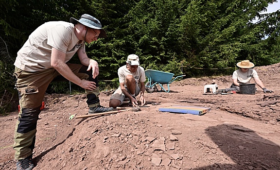 Найдено крупнейшее скопление следов динозавров