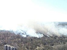 Пожар в Чернобыле продолжается в условиях повышенной радиации
