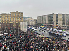 В Госдуме займутся фейками о протестах, прошедших 23 января