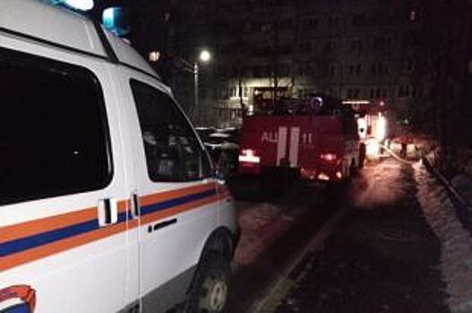 Сгорели заживо двое жителей Приморья при сильном пожаре