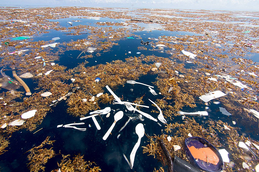 80% мусора попадает в Мировой океан из рек, а 20% сбрасывают с кораблей
