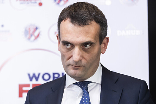 Во Франции раскритиковали идею отправить под европейским флагом военных на Украину