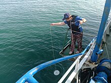 Донские ученые организовали съемку ихтиопланктона в Азовском море