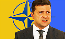 Поддерживают 43% граждан: украинцев спросили насчет НАТО