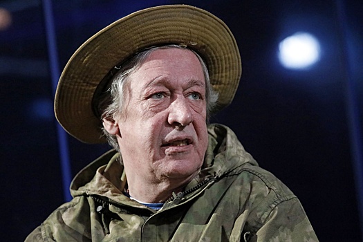 ОНК: Жалоб на ухудшение здоровья актера Михаила Ефремова не поступало