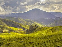 В Малайзии планируют увеличить турпоток в страну