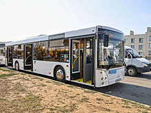 Губернатор поручил главе Самары решить кадровый вопрос на общественном транспорте в кратчайшие сроки