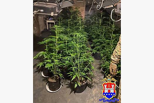 Неожиданная находка на чердаке российского дома обернулась уголовным делом