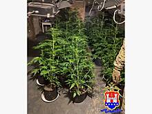 Неожиданная находка на чердаке российского дома обернулась уголовным делом