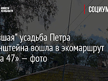 "Ожившая" усадьба Петра Витгенштейна вошла в экомаршрут «Тропа 47» — фото