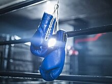 «Кама» и «Ленинград» вышли в финал третьего этапа боксерского «Кубка Победы»