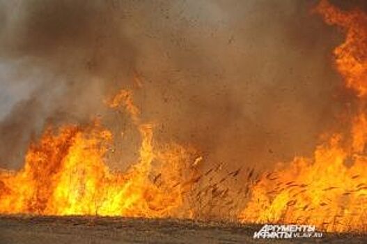 Ситуация с лесными пожарами в Приморье стабилизировалась