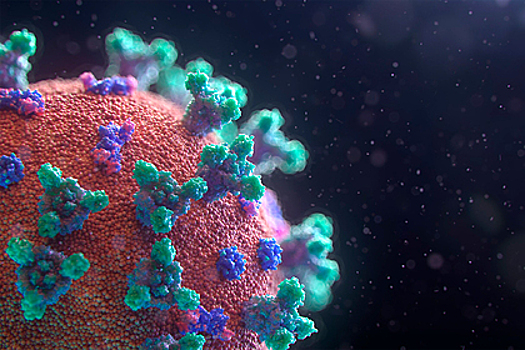 Ученые объяснили, почему мужчины чаще умирают от коронавируса