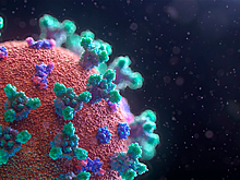 Ученые объяснили, почему мужчины чаще умирают от коронавируса