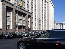 В Госдуме – цирк: дрессировщики выступили резко против новой инициативы депутатов