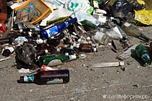 Коллапс отменяется: екатеринбургские депутаты обсудили "мусорные" темы