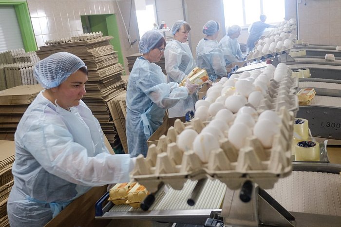 В Кировской области производители яиц снизили цены на продукцию