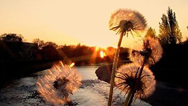 Advance (Хорватия): 15 марта 1939 года. История о Карпатской Украине, европейском государстве, которое просуществовало всего один день