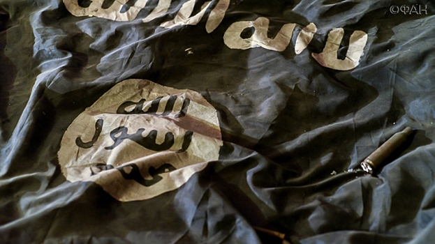 СМИ узнали о планах Трампа и Эрдогана объединить усилия в Ракке и Эль-Бабе