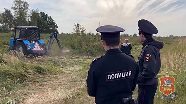 Полицейские ликвидировали плантацию дикорастущей конопли в Подмосковье