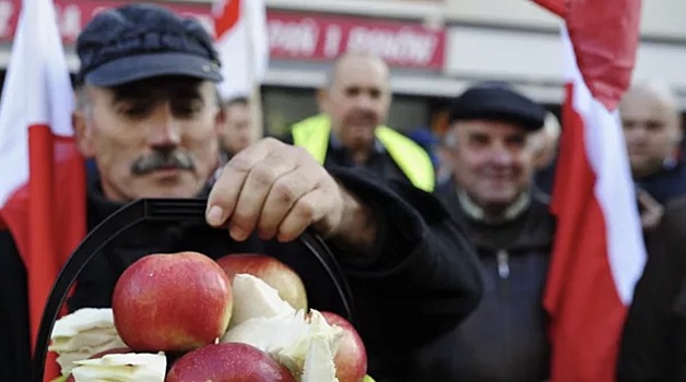 Украина введет эмбарго на овощи и фрукты из Польши
