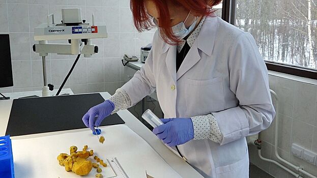 «Код убийцы»: его вычисляют криминалисты в Костроме с помощью новой ДНК-лаборатории