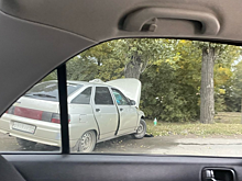 В Саратове водитель «пятнадцатой» не справился с управлением и протаранил дерево
