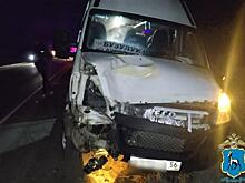 В Кинельском районе пассажирский автобус насмерть сбил женщину