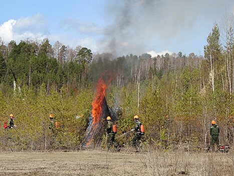В лесах Кировской области ожидается высокая пожарная опасность