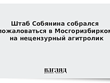 Штаб Собянина собрался пожаловаться в Мосгоризбирком на нецензурный агитролик
