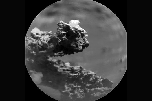 Марсоход Curiosity нашел на Марсе "окаменелое существо"