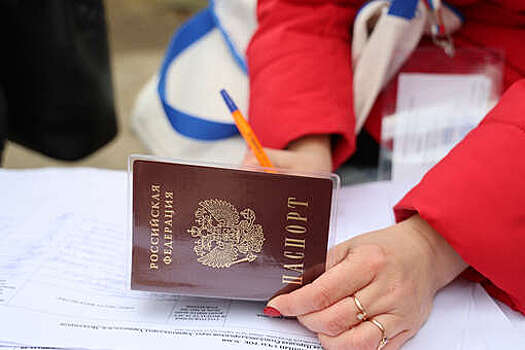 Депутат ГД предложил проверить законность выданных за последние 10 лет паспортов