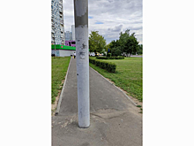 Москвичи массово пожаловались на одну помеху на тротуарах