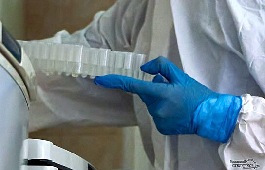 За сутки в Свердловской области выявили 403 случая коронавируса