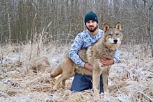 Ямалец создал в Ленобласти "Парк волков" и вывел новую породу собак