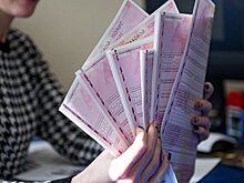 Депутат Госдумы попросил главу МВД провести проверку в сфере ОСАГО