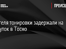 Любителя тонировки задержали на пять суток в Тосно