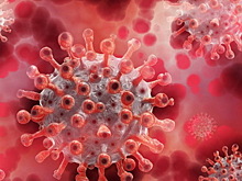 В Новосибирской области число случаев коронавируса выросло еще на 53