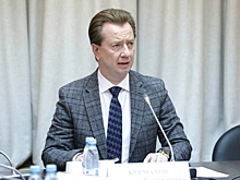 Собак убивать, а хозяев – сажать в тюрьму: что предлагают депутаты Госдумы