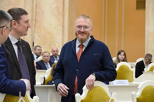 Милонов рассказал, поможет ли введение в школьную программу «Домостроя» повысить демографию в стране